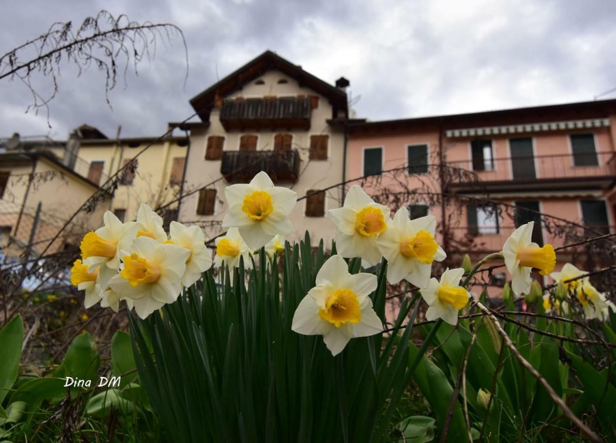 “Oltre Il Confine” Belluno Exterior foto